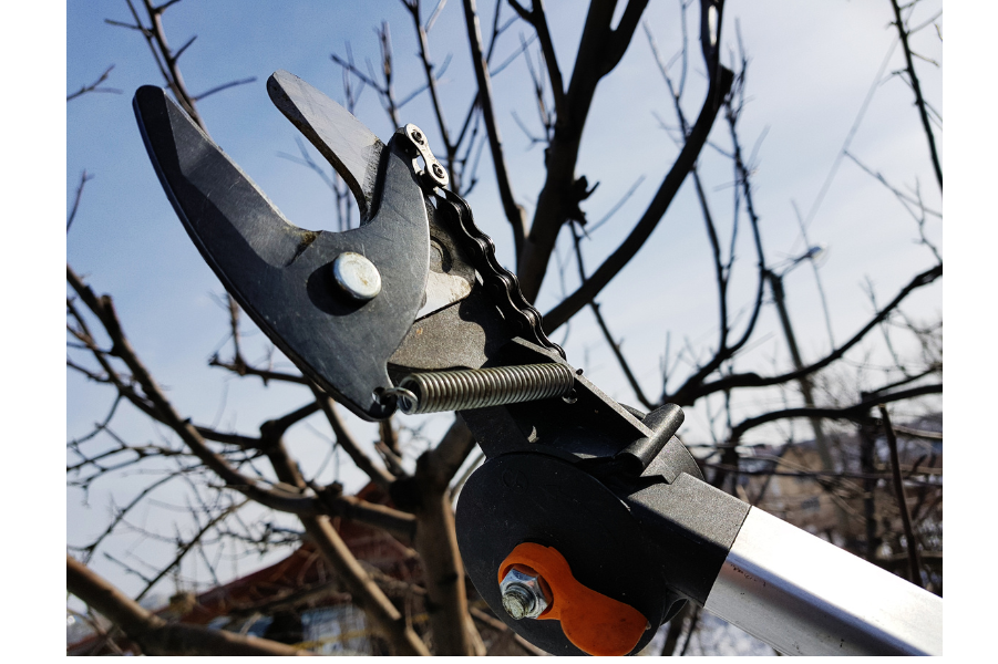 secateur electrique komok