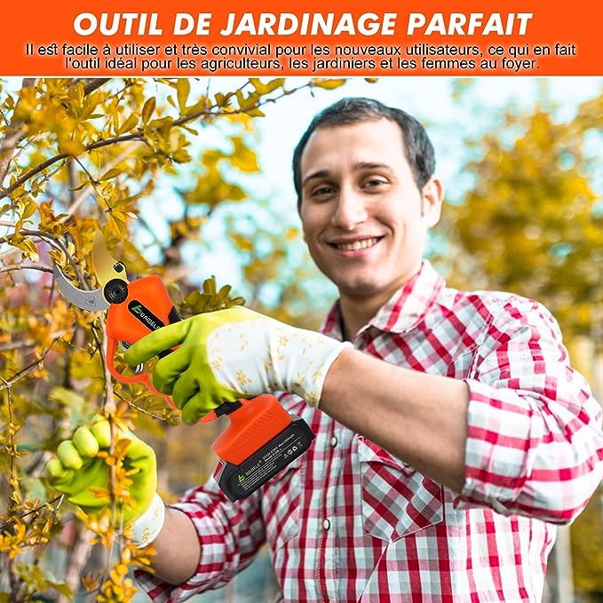 Secateur Electrique Professionnel